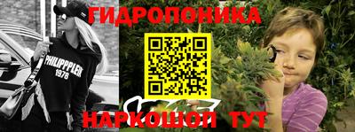 стаф Дмитров