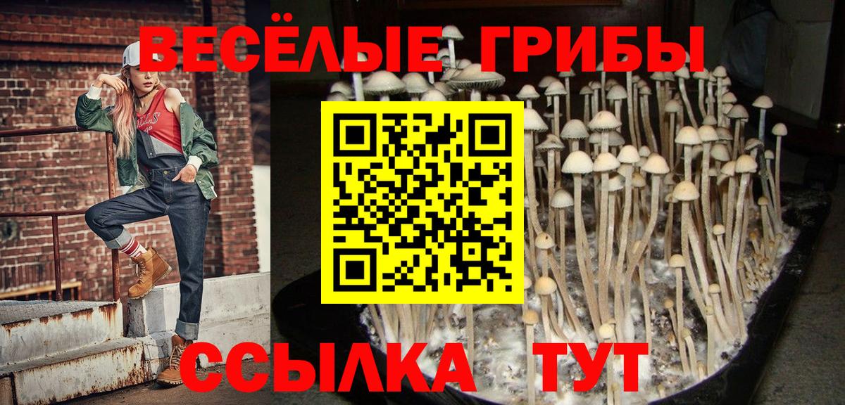 Псилоцибиновые грибы Cubensis  Вход с VPN  Борисоглебск 